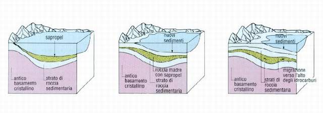 formazione petrolio